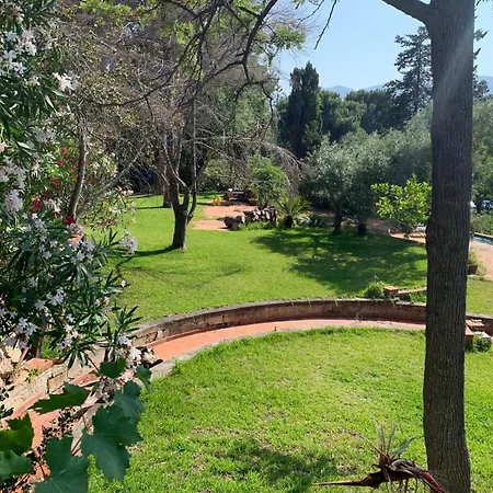 Πανσιόν Park House Terrace 4*